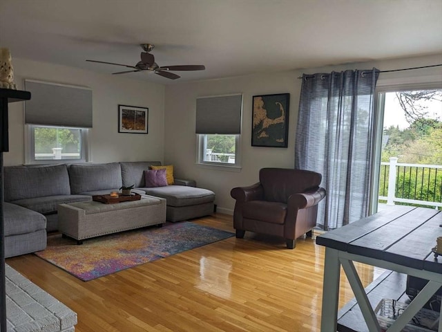 living room with ceiling fan and hardwood / wood-style floors