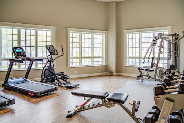 exercise area featuring hardwood / wood-style floors