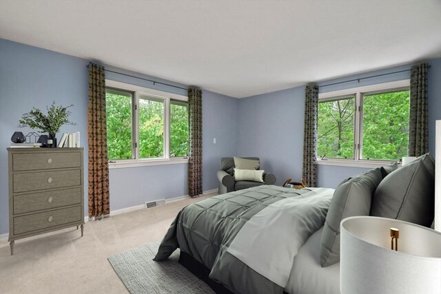 125 Chapin Rd Unit 3F, Hudson, MA 01749 - bedroom featuring carpet flooring and baseboards