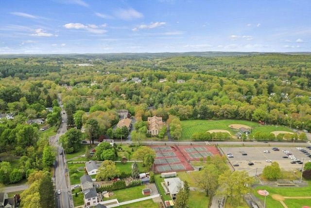 125 Chapin Rd Unit 3F, Hudson, MA 01749 - aerial view of a forest