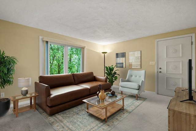 125 Chapin Rd Unit 3F, Hudson, MA 01749 - living room with carpet floors, baseboards, and a textured ceiling
