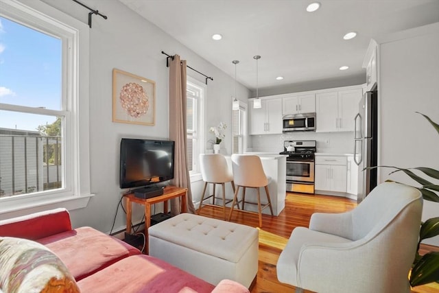 living room featuring light hardwood / wood-style flooring