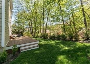 22 Irene Cir, Waltham, MA 02453 - view of green lawn with a deck