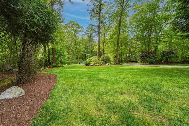 597 Fisher Rd, Dartmouth, MA 02747 - view of green lawn with a forest view