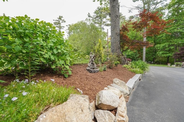 597 Fisher Rd, Dartmouth, MA 02747 - view of yard