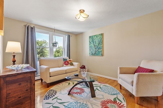3 Sycamore Dr, Rutland, MA 01543 - living area with a baseboard heating unit and light wood finished floors