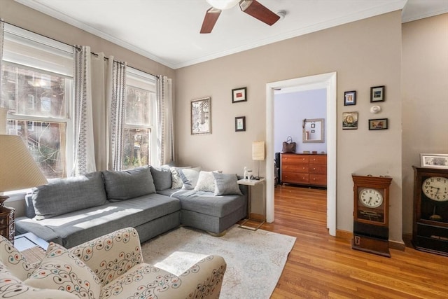 15 University Unit 32, Brookline, MA 02445 - living area with ceiling fan, light wood-style flooring, and ornamental molding