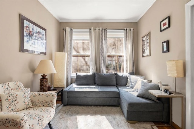 15 University Unit 32, Brookline, MA 02445 - living room with crown molding