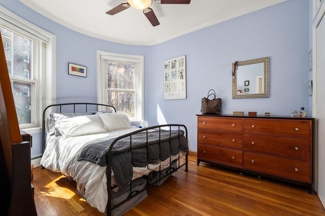 15 University Unit 32, Brookline, MA 02445 - bedroom with wood finished floors, multiple windows, ornamental molding, and a baseboard radiator