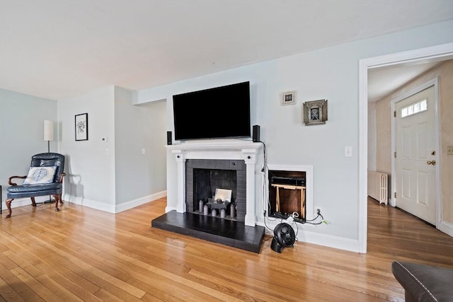 living room with baseboards, radiator heating unit, wood finished floors, and a fireplace