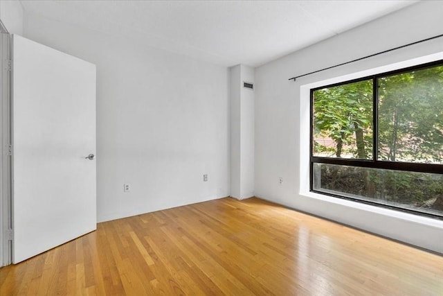 14 Heron St Unit 209, Boston, MA 02132 - empty room with wood finished floors