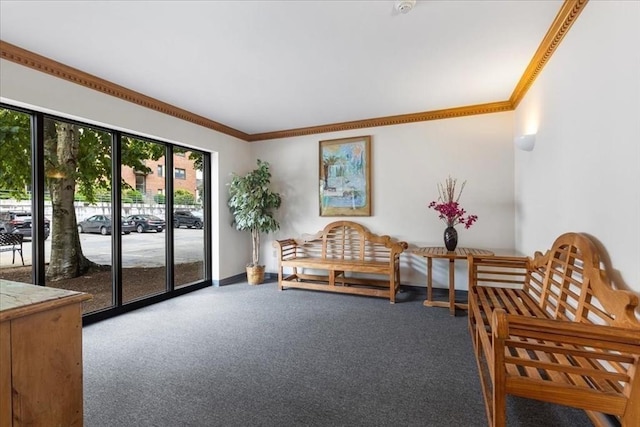 14 Heron St Unit 209, Boston, MA 02132 - living area with carpet floors and crown molding