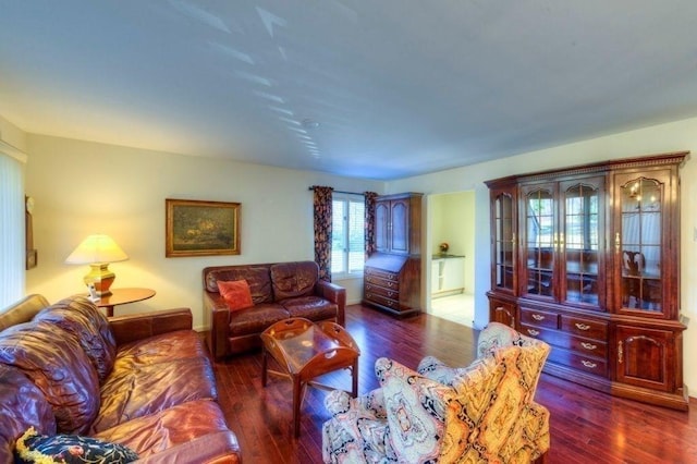 living room featuring dark hardwood / wood-style flooring