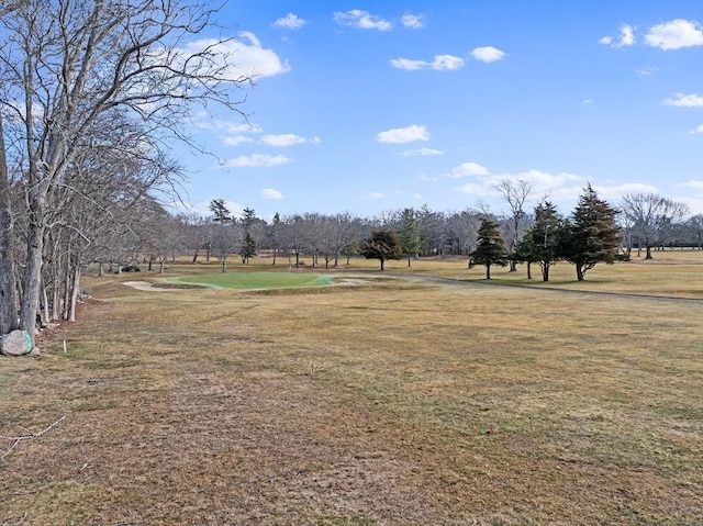 view of home's community featuring a yard