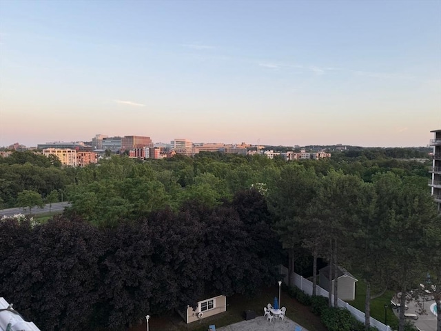 131 Coolidge Ave Unit 621, Watertown, MA 02472 - view of city