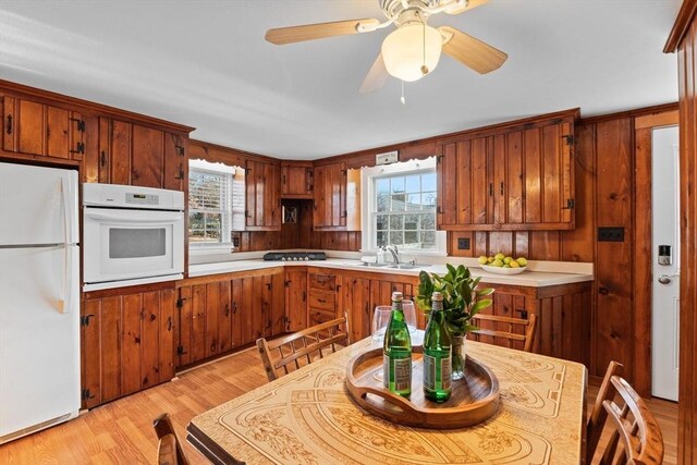 kitchen with sink, white appliances, light hardwood / wood-style flooring, and ceiling fan