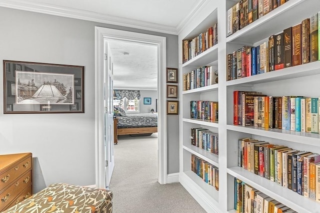 interior space with carpet floors and ornamental molding