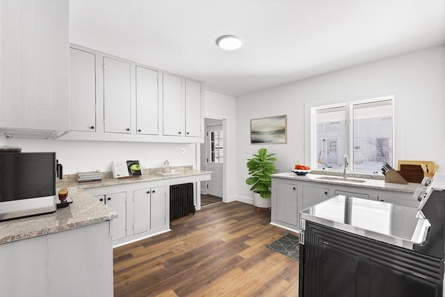 kitchen with dark wood finished floors, radiator, white cabinets, a sink, and baseboards