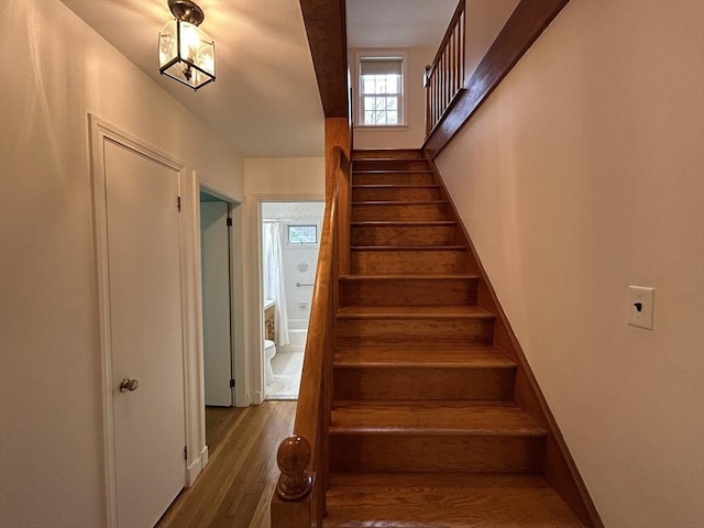 staircase with wood finished floors