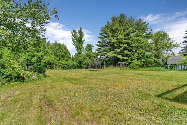 36 Fontaine St, Marlborough, MA 01752 - view of green lawn with a trampoline