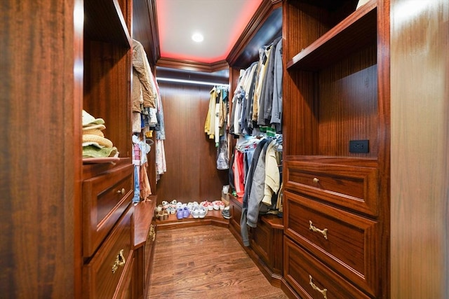 50 Elm St, Plympton, MA 02367 - walk in closet featuring dark wood finished floors