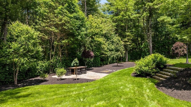 50 Elm St, Plympton, MA 02367 - view of grassy yard with a patio area