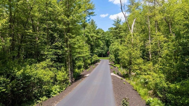 50 Elm St, Plympton, MA 02367 - view of asphalt road with a view of trees