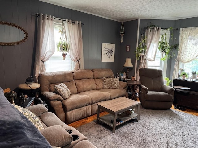 348 Fairmount St, Fitchburg, MA 01420 - living area featuring wood finished floors and ornamental molding