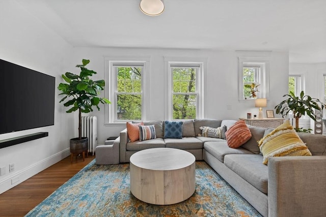 living area featuring radiator, wood finished floors, and baseboards