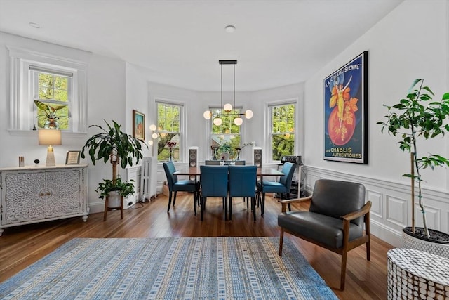 dining area featuring healthy amount of natural light and wood finished floors