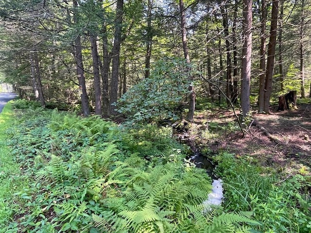 0 W Rd, Northfield, MA 01360