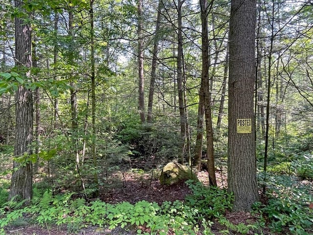 0 W Rd, Northfield, MA 01360
