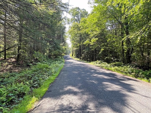 0 W Rd, Northfield, MA 01360