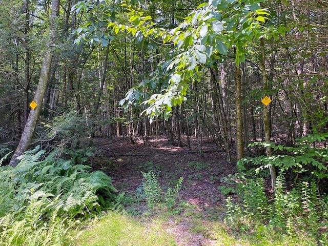0 W Rd, Northfield, MA 01360