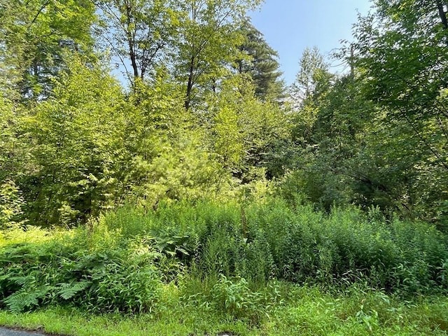 0 W Rd, Northfield, MA 01360
