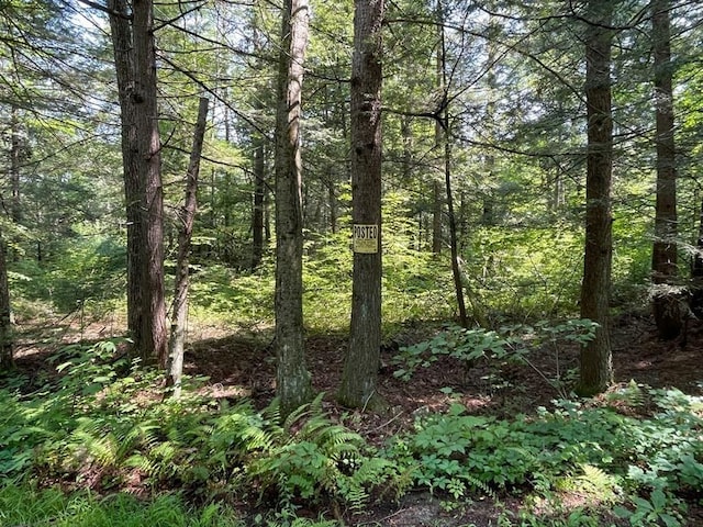 0 W Rd, Northfield, MA 01360