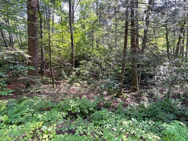0 W Rd, Northfield, MA 01360