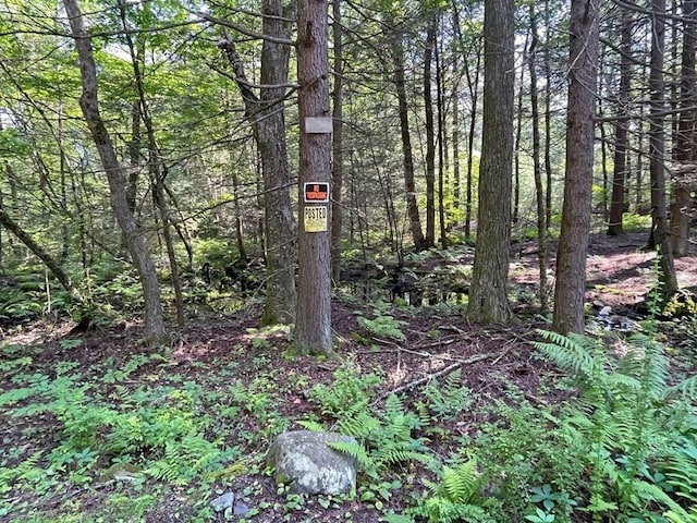 0 W Rd, Northfield, MA 01360