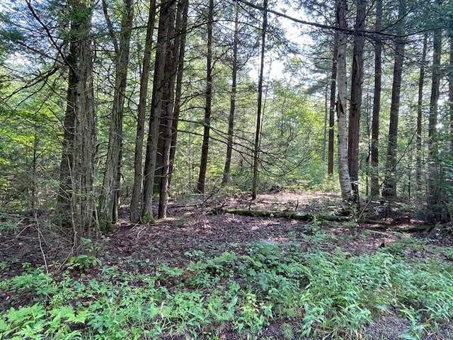 0 W Rd, Northfield, MA 01360