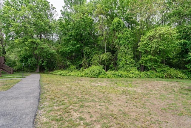 20 Washington St Unit 15, Easton, MA 02356 - view of green lawn with stairway