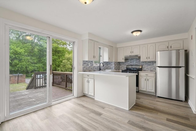 20 Washington St Unit 15, Easton, MA 02356 - kitchen with stainless steel appliances, under cabinet range hood, light countertops, and light wood-type flooring