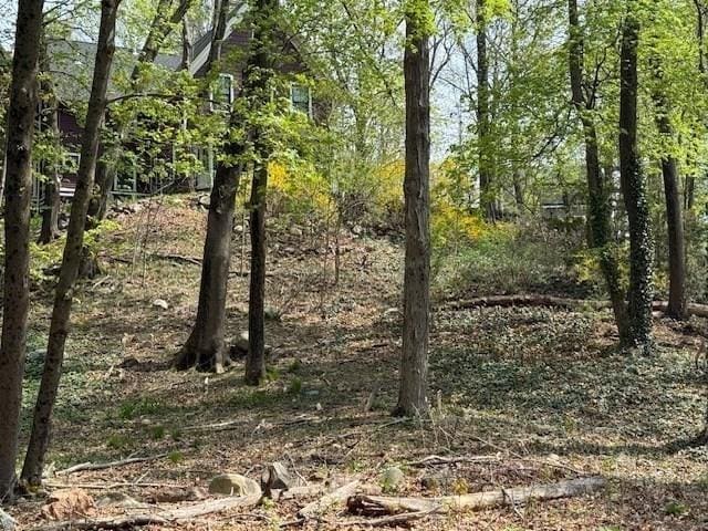 29 Rockland St, Wellesley, MA 02481