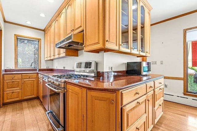 68 Barnard Ave, Watertown, MA 02472 - kitchen with appliances with stainless steel finishes, under cabinet range hood, ornamental molding, light wood-style floors, and a baseboard heating unit