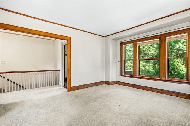 68 Barnard Ave, Watertown, MA 02472 - unfurnished room with carpet and crown molding