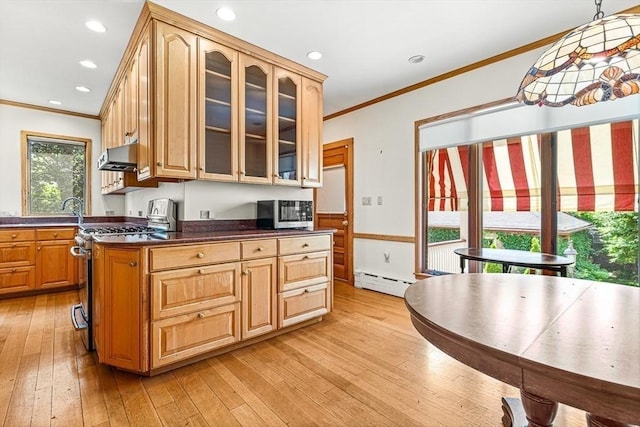 68 Barnard Ave, Watertown, MA 02472 - kitchen featuring stainless steel appliances, crown molding, dark countertops, light wood-style floors, and a baseboard heating unit