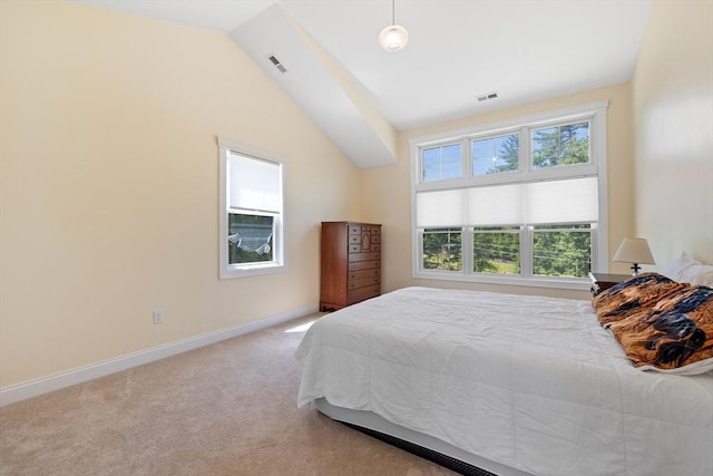 19 Hardscrabble Rd, Sterling, MA 01564 - bedroom with lofted ceiling and carpet