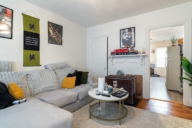 living room with wood-type flooring