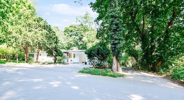 view of front of home featuring driveway and a chimney