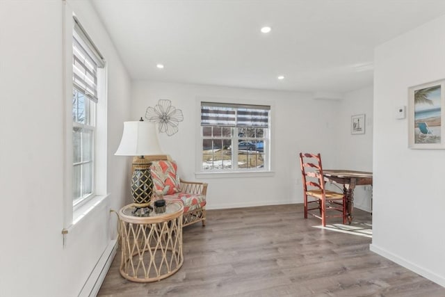 sitting room featuring plenty of natural light and light hardwood / wood-style flooring