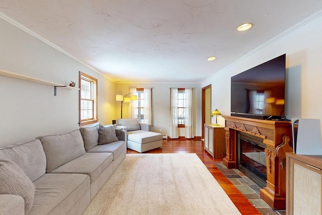 living room with a fireplace with flush hearth, a healthy amount of sunlight, dark wood finished floors, and ornamental molding